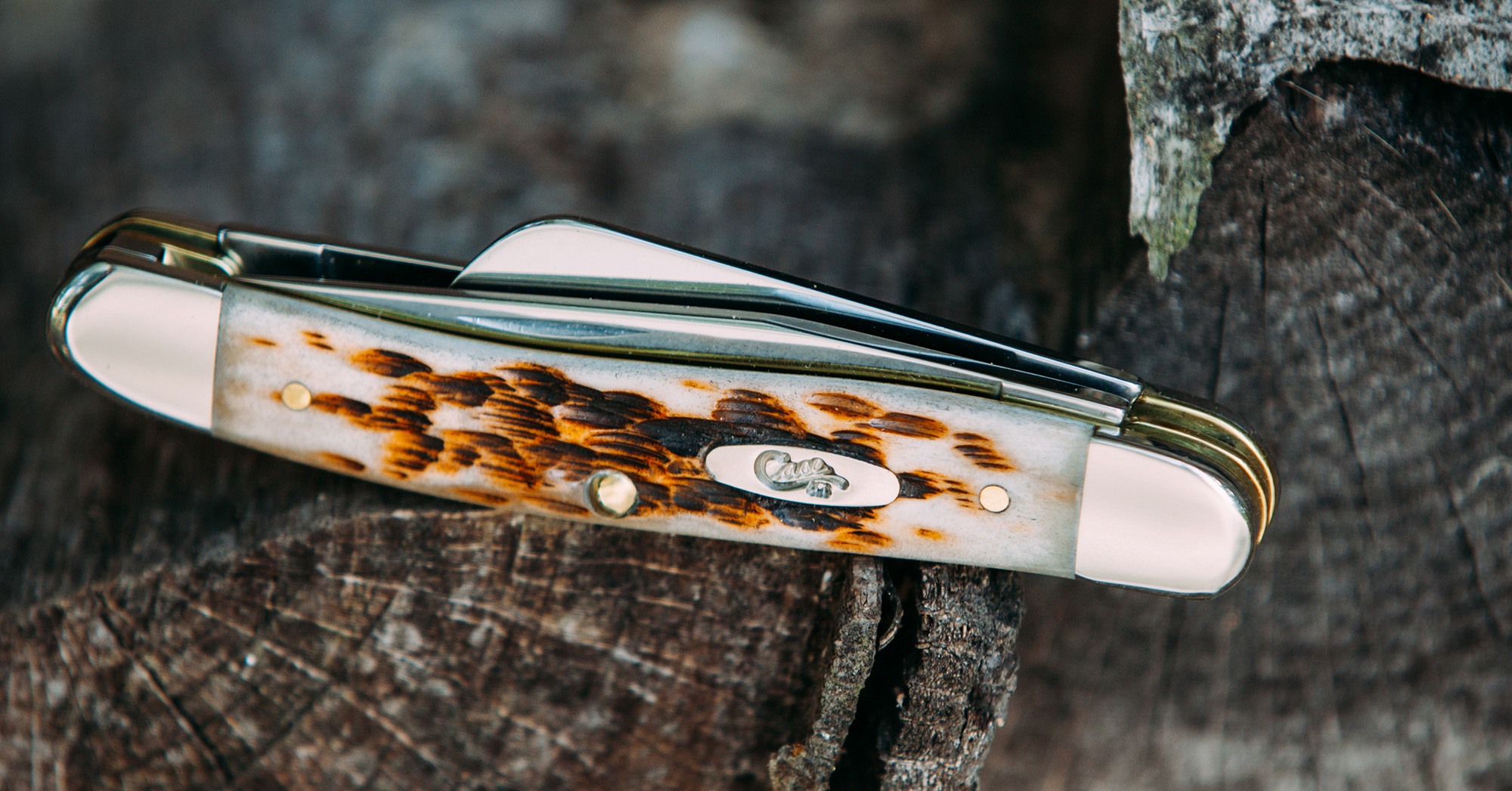 Case Knife Merchandise at Donald Cyr blog