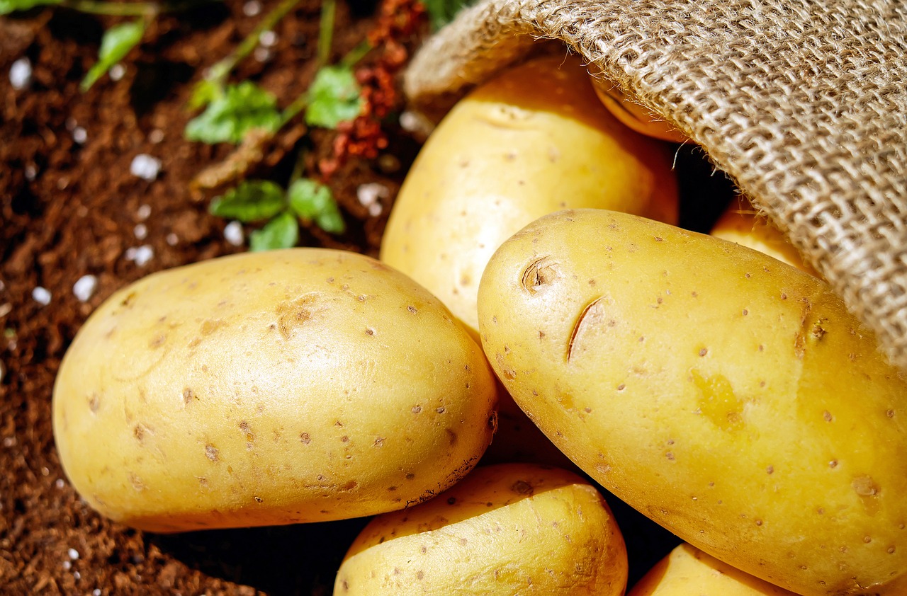 Gold Potatoes for Removing Rust