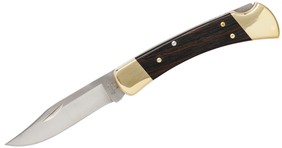 Buck 110 Folding Hunter Knife