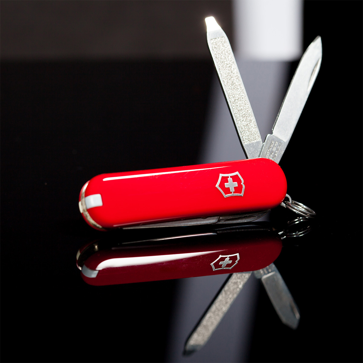 10 Best Victorinox Knives | Knife Depot Blog