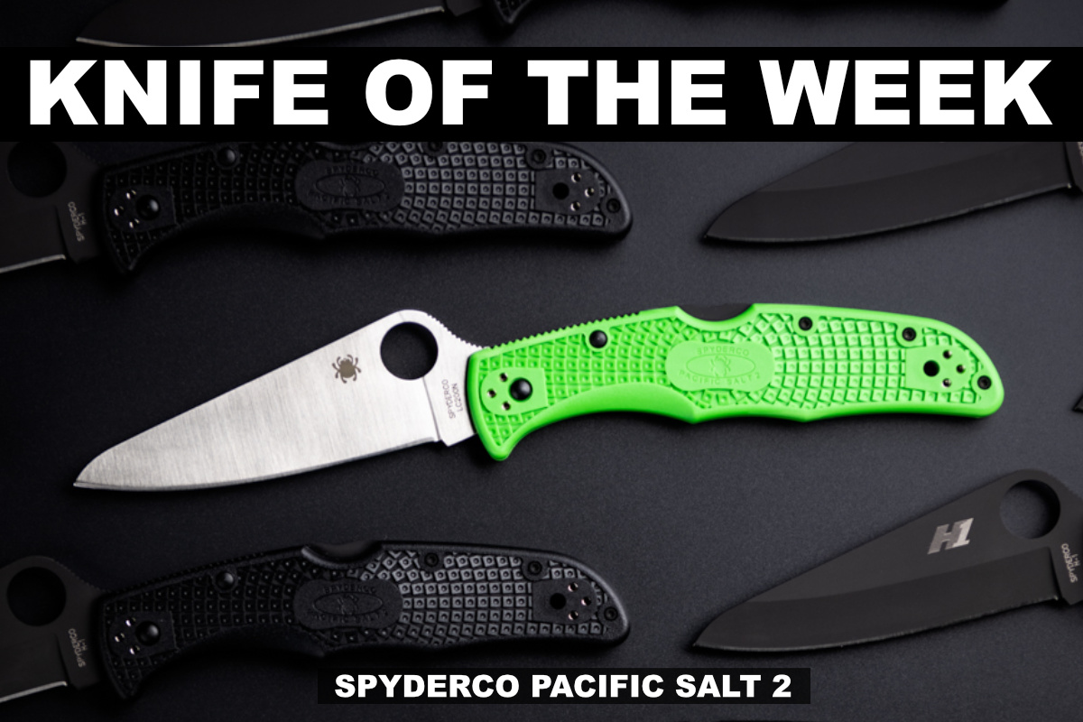 Spyderco Pacific Salt 2