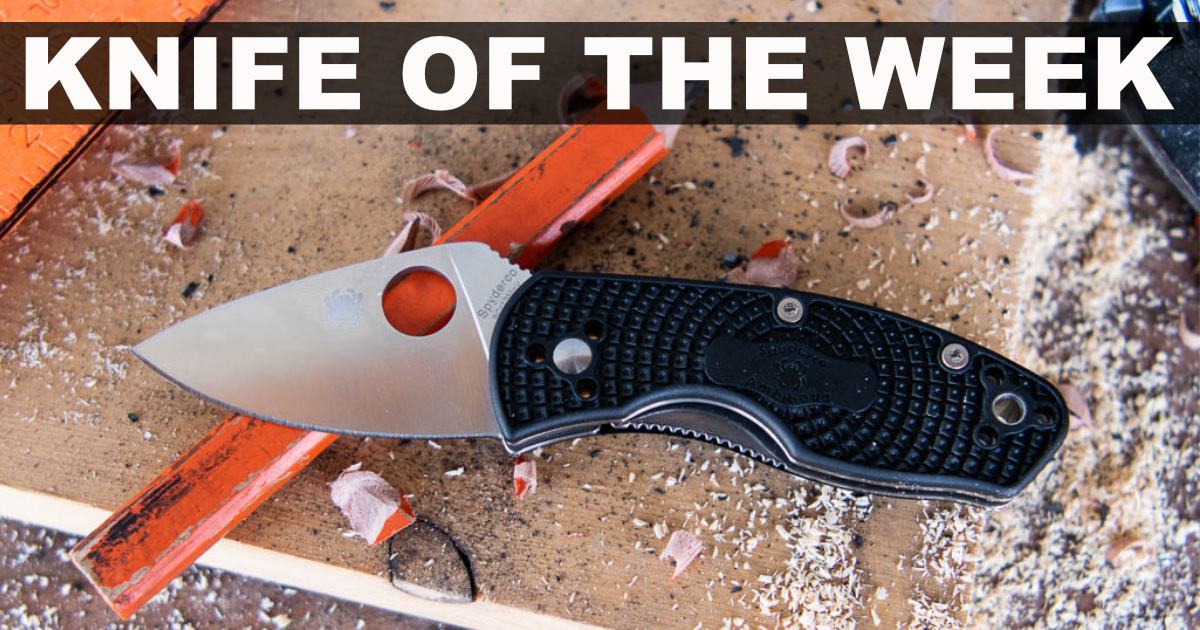 Spyderco Ambitious Lightweight | Knife of the Week