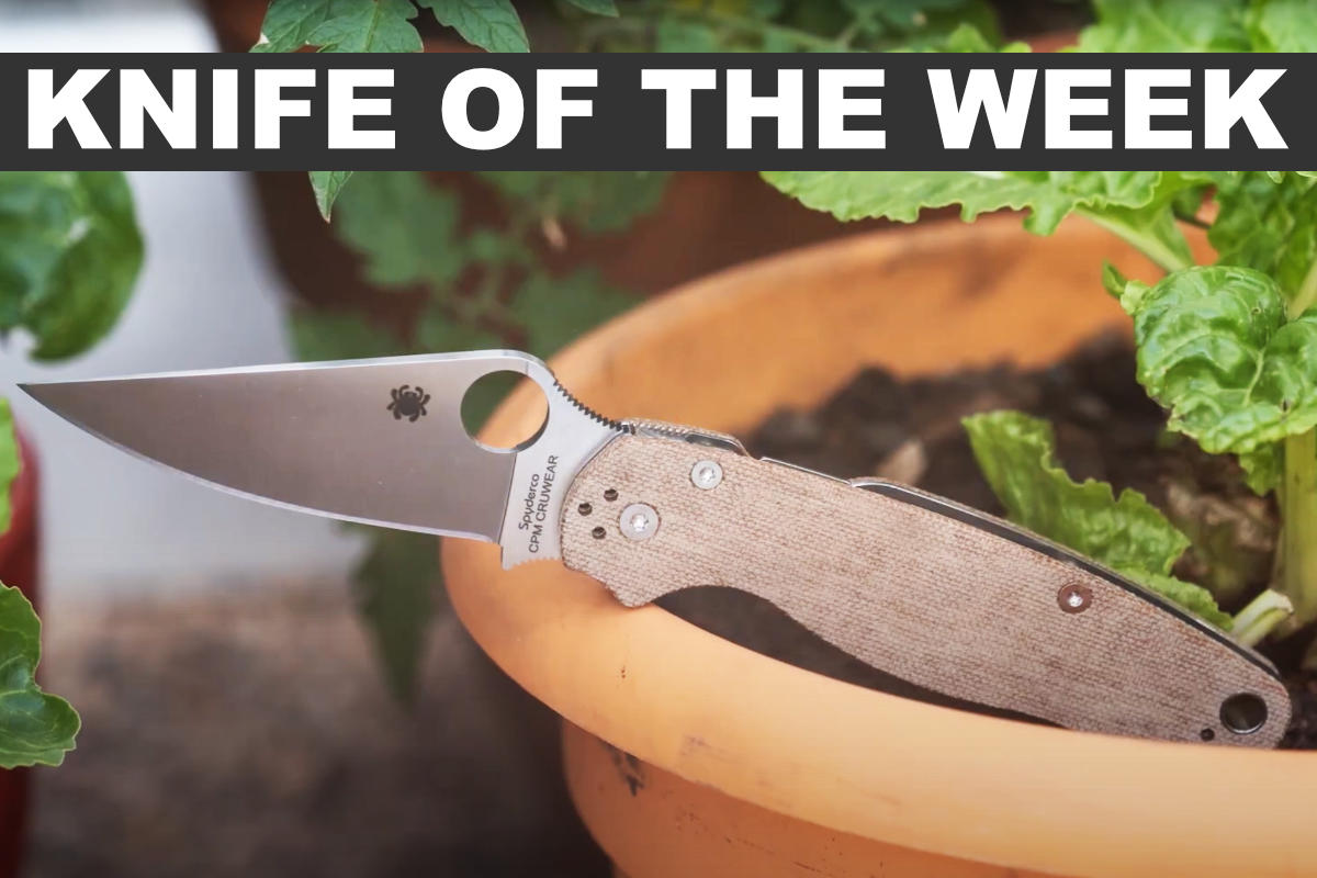 Spyderco Paramilitary 2 in Micarta Knife of the Week Knife Depot